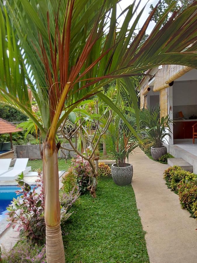 Okaoki Homestay Amed Exteriér fotografie